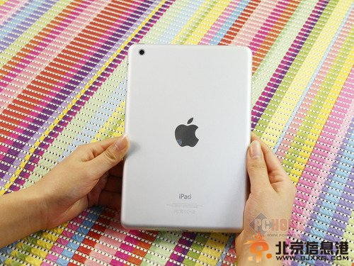 苹果iPad Mini背面图