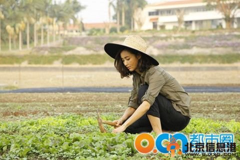 甜蜜都市什么时候播出 甜蜜都市一共多少集 演员表