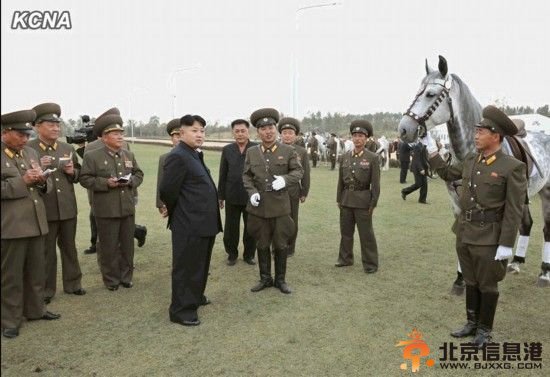 朝鲜美林骑马俱乐部营业 金正恩视察(图)