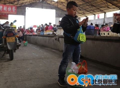 爸爸去哪儿第七期精彩片段 爸爸去哪威海鸡鸣岛搞笑事