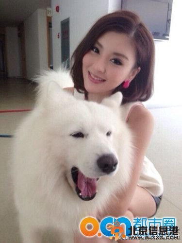 非诚勿扰龚美琪个人资料 龚美琪照片 龚美琪整容前后照