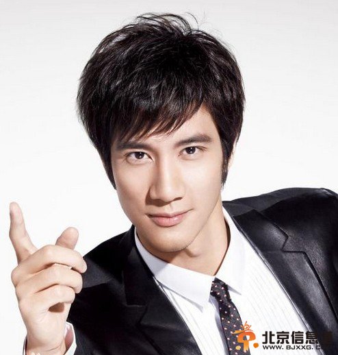 中国最帅男星排行榜:王力宏