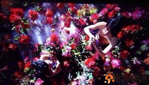神雕侠侣陈妍希陈晓全裸练玉女心经 杨过小龙女全裸剧照