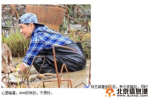 八一八爸爸去哪儿黑幕原文曝光 王诗龄无辜被黑