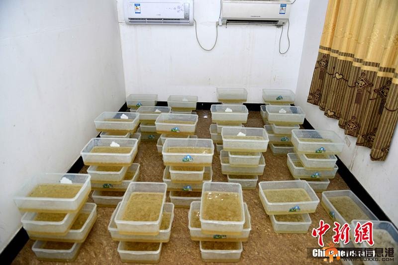 广东上千警力进村扫毒画面