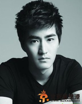  杨玏个人资料,杨立新的儿子杨玏资料介绍