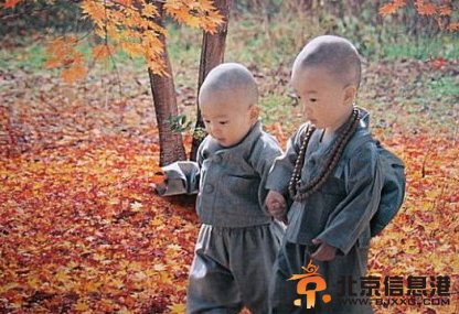 明安小和尚走红网络 段子萌翻网友