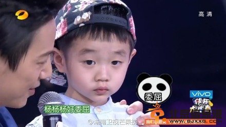 杨威儿子无厘头呆萌笑翻网友 我今年叫杨文昌成话题/图