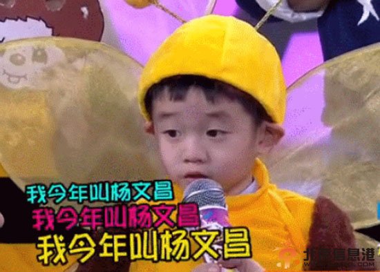 杨威儿子杨文昌妈妈杨云资料照片 萌语我今年叫杨文昌走红