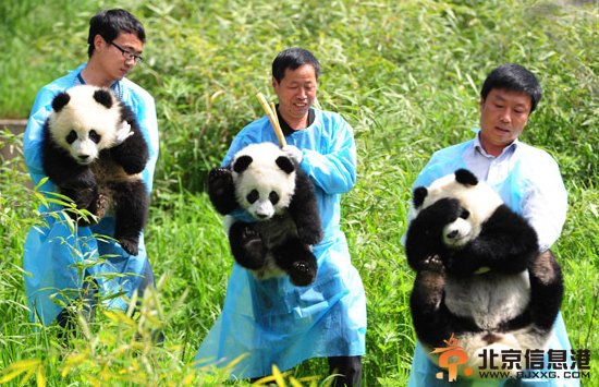 点击图片进入下一页