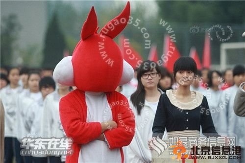 疯狂的校运会：无限创意让人眼花缭乱耳目一新 行业新闻