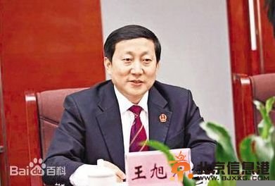 一审成名 薄熙来案主审法官王旭光调任最高法(图)