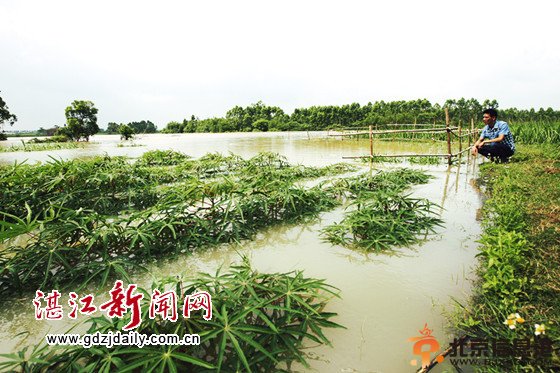 广东雷州投6.85亿改造运河 雨季未到已决口(图)