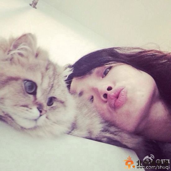赤裸裸秀恩爱！冯德伦被舒淇爱猫抓发飙(图) 