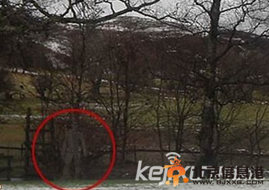 英国男子拍摄冬日景象拍到鬼魂 未经电脑处理（图）