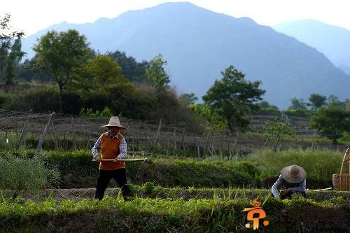 耕地宝是什么 城里人获得土地农民获得租金和工资