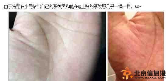 掌纹照