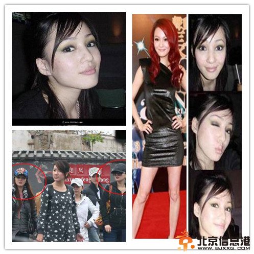 李冰冰姐姐李雪身份曝光 女星绝色姐妹花揭秘【组图】