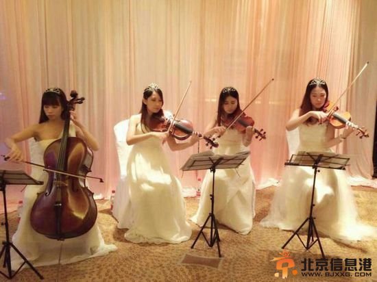 广东中山现豪华婚礼 新娘身挂70个金手镯