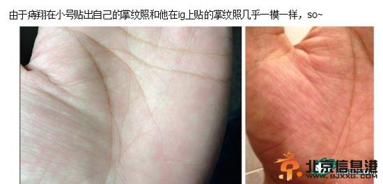 网友爆掌纹照对比截图