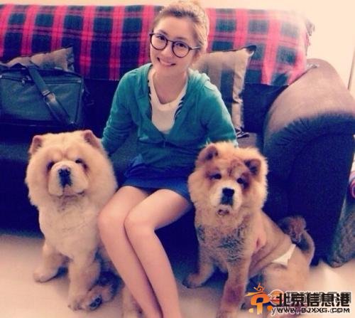 导演彭顺背妻子李心洁偷食 当众与嫩模亲嘴搂抱
