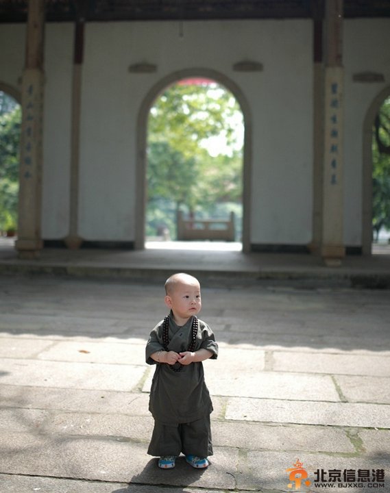 福州西禅寺超萌“小和尚”网络爆红(组图)