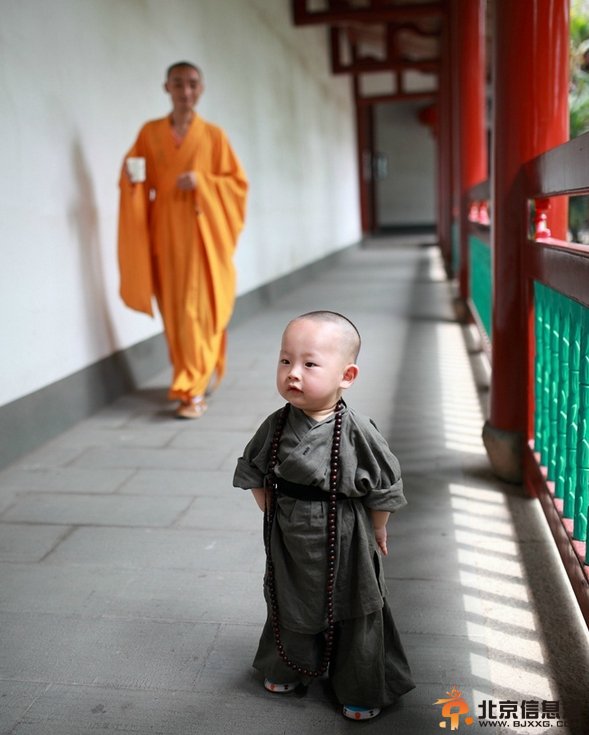 福州西禅寺超萌“小和尚”网络爆红(组图)