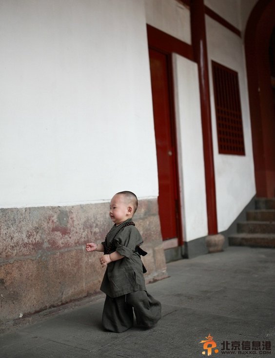 福州西禅寺超萌“小和尚”网络爆红(组图)