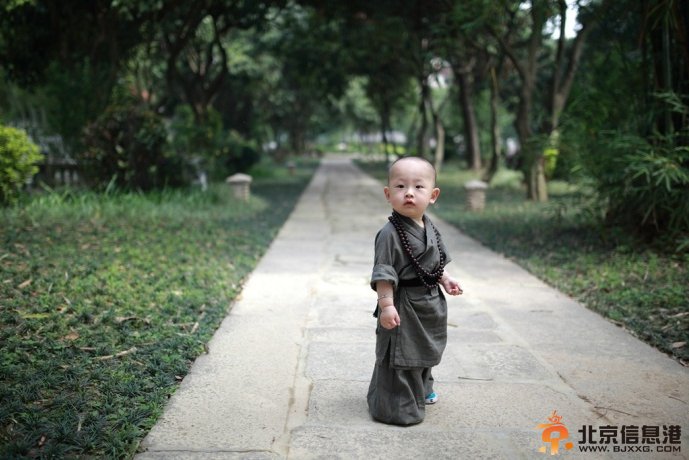 福州西禅寺超萌“小和尚”网络爆红(组图)