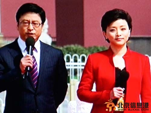 白岩松与杨澜（资料图）