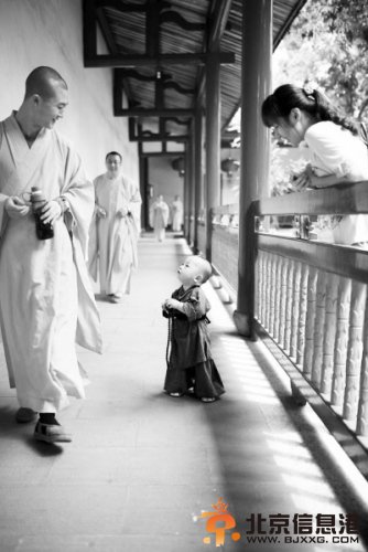 西禅寺小和尚戳中萌点 回应：不是真出家是拍写真