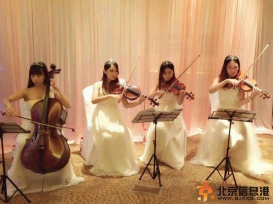 广东中山再现豪华婚礼 黄金新娘子土豪排场背景大揭秘【组图】