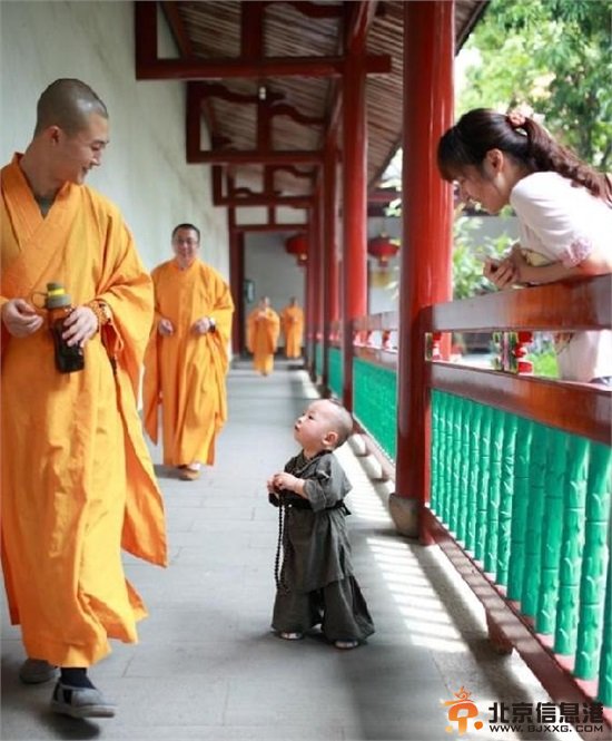 “西禅寺小和尚”超萌写真爆红网络 网友调侃：问过爸爸妈妈没？