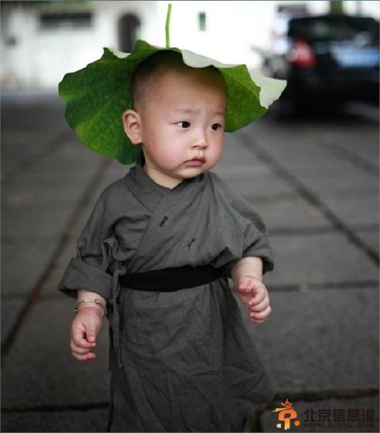 “西禅寺小和尚”超萌写真爆红网络 网友调侃：问过爸爸妈妈没？