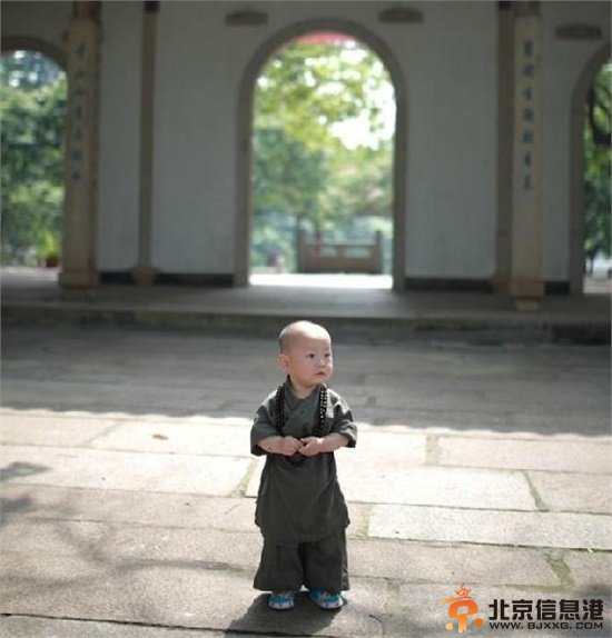 “西禅寺小和尚”超萌写真爆红网络 网友调侃：问过爸爸妈妈没？