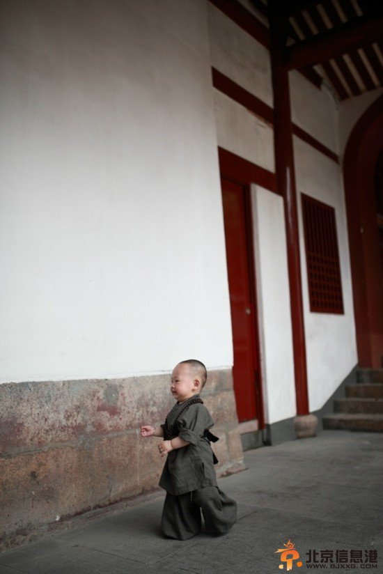 福州西禅寺小和尚写真曝红 转发近一万次