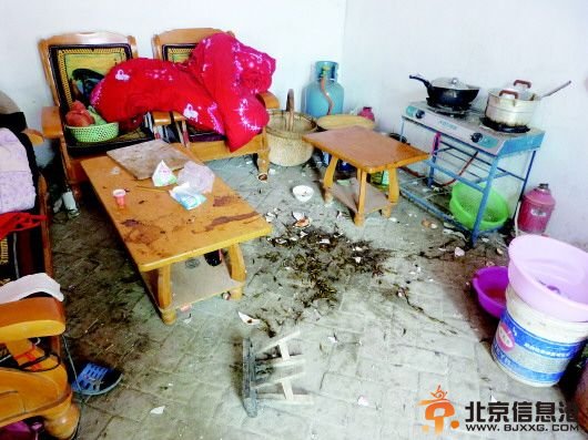 山东一父亲打死女婴又抛尸 孩子出生仅41天[图]