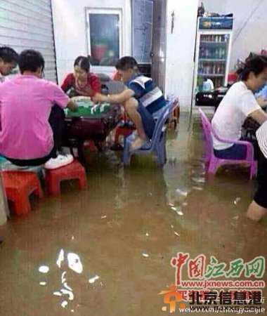 江西居民水中淡定打麻将:进水就让它进呗