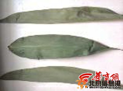 端午节将至 工业品让枯黄粽叶返青质地软有异味