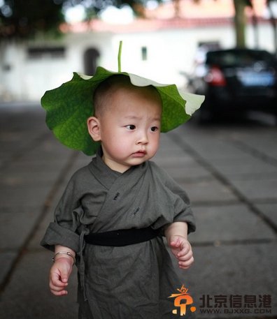 福州西禅寺超萌“小和尚”网络走红