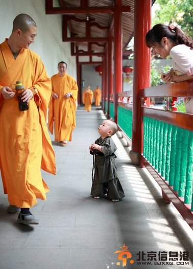 福州西禅寺超萌“小和尚”网络走红