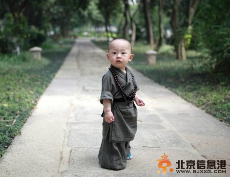 福州西禅寺超萌“小和尚”网络走红