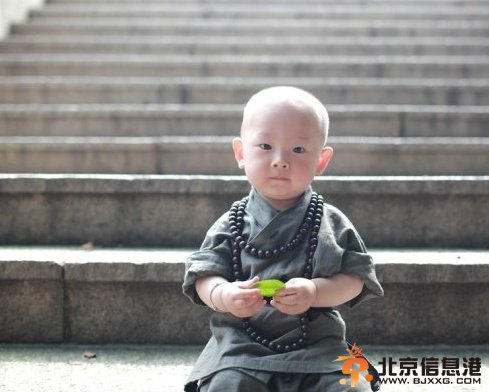 福州西禅寺超萌“小和尚”网络走红