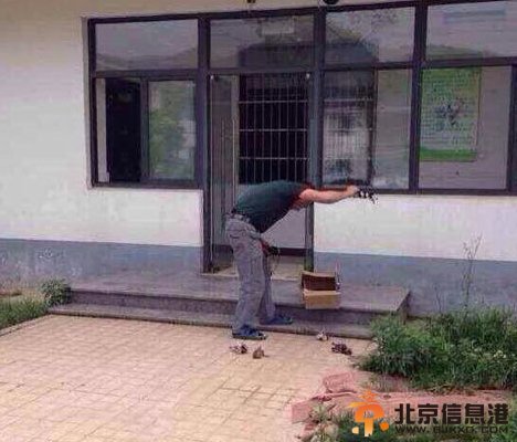 网曝犬类收容所人员当着狗妈妈摔死小狗