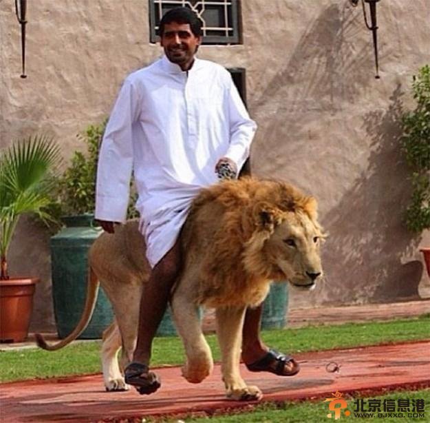 中东有钱人的生活 街头自动售金子（图）