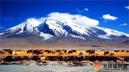 媒体点评“赴疆旅游可获500元”打造安定地区形象才能恢复旅游业