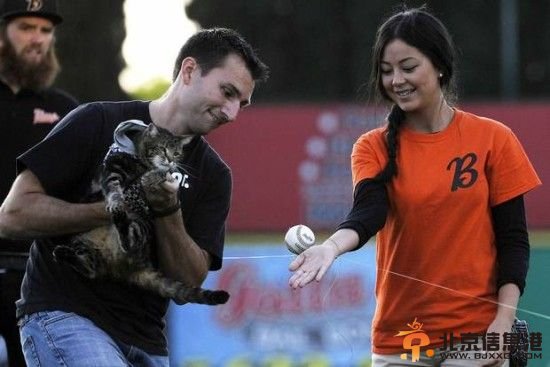 事件发生后，猫咪塔拉成为英雄。贝克斯菲尔德火焰棒球队发布声明，邀请塔拉和主人一家出席比赛，并为球赛开球。