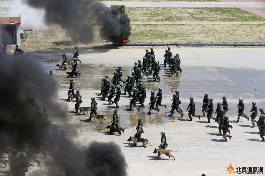 <a href='http://www.bjxxg.cn/news/beijing/' target='_blank'><u>北京</u></a>举行反恐实战演练 雪豹突击队帅气亮相