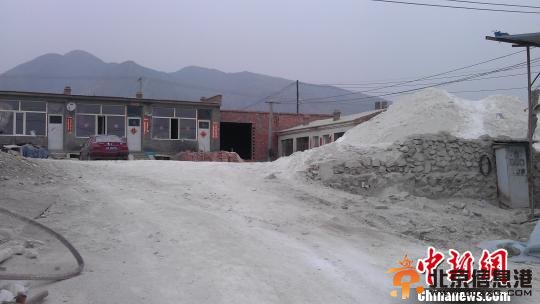 通讯：内蒙古大青山脚下的全民生态保护战（图）