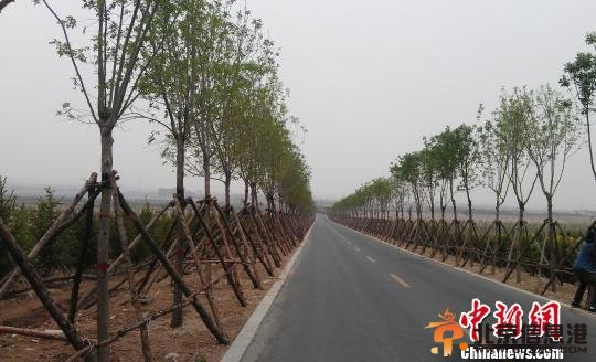 内蒙古大青山脚下的全民生态保护战(图)